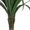 Draakonipuu Dracena - Image 2