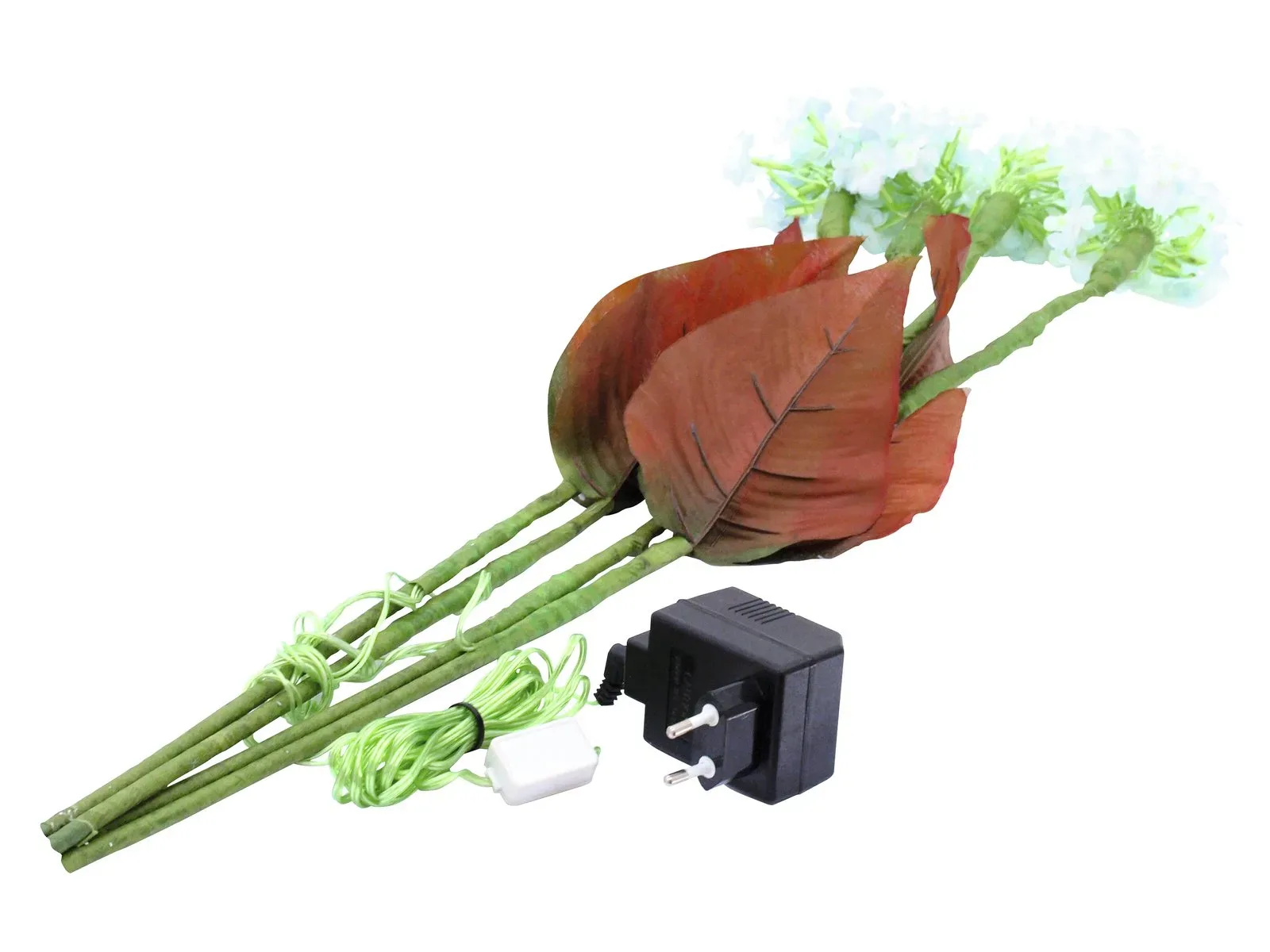 Valge Hortensia - Pilt 2