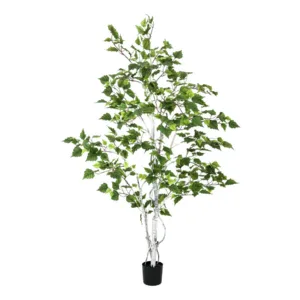Kasepuu 150 cm