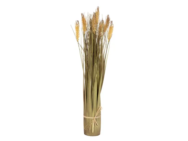 Nisukimp 60 cm