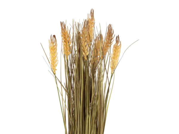 Nisukimp 60 cm - Image 2