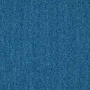 Plaatvaip - helesinine
